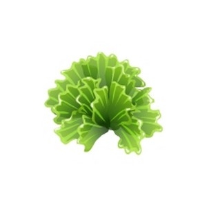 Glass Lettuce Coral